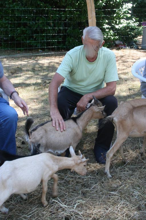 La Ptite Ferme De Caro Hotell Meyrignac-lʼÉglise Exteriör bild